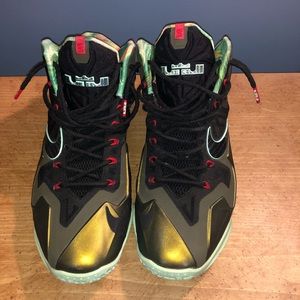 Nike LeBron 11 Kings Pride